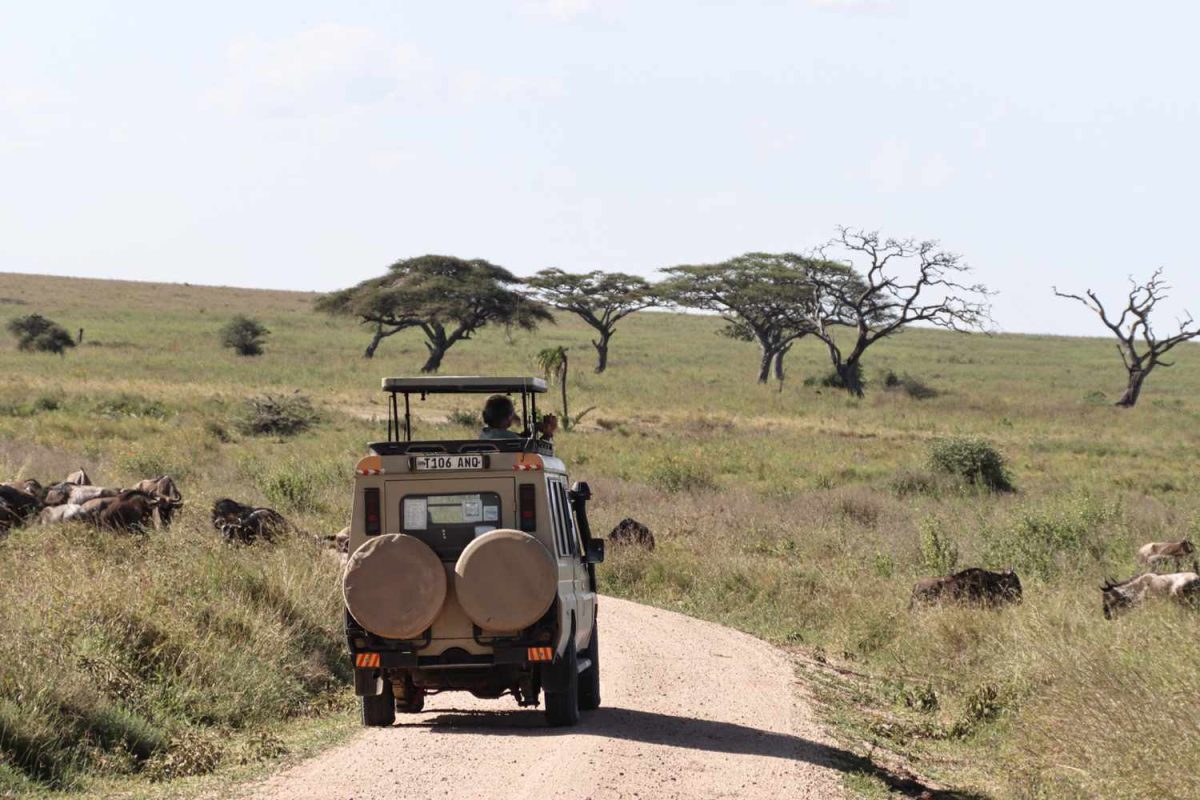 5 Days Best of Tanzania Safari