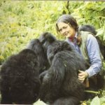 Ellen DeGeneres Campus experience