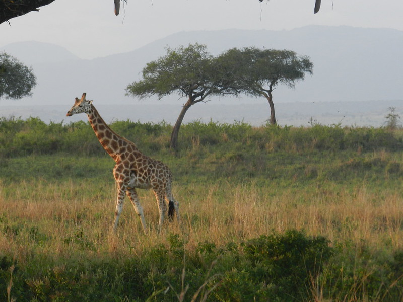 Kidepo safari Uganda