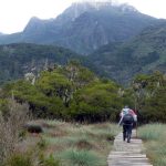 Hiking Rwenzori Mountains