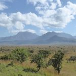 Pian Upe safari experience