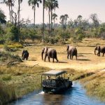 Best time herping Uganda