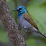 other activities Bwindi