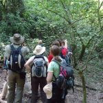 luxury safaris vs budget safaris Uganda