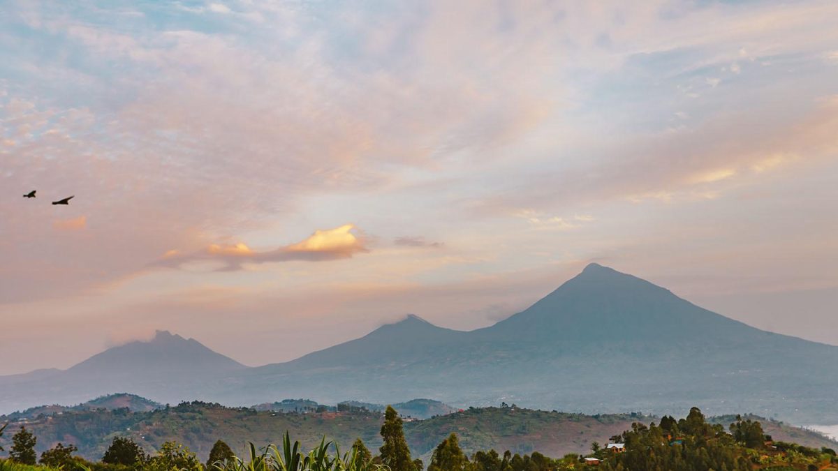 Best Time to Visit Rwanda