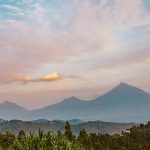 Best Time to Visit Rwanda