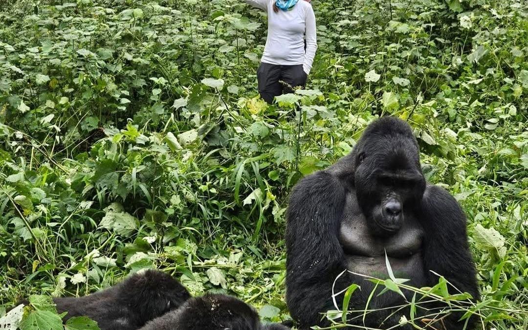 Top Rainforest Experiences Uganda