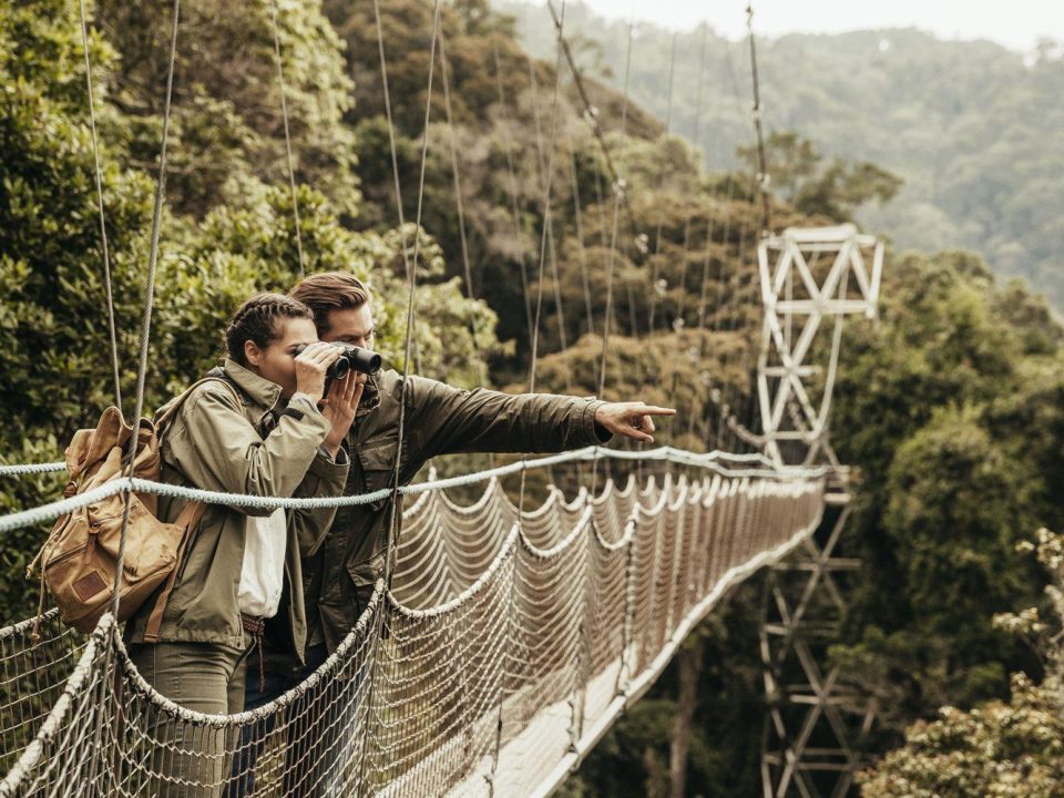 What is Nyungwe Forest famous for