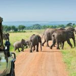 safari activities Uganda