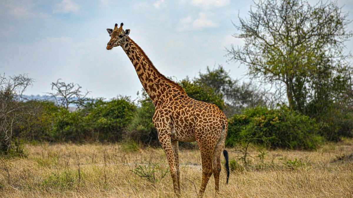 Best photography spots Rwanda