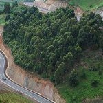 Best stopovers Uganda safaris