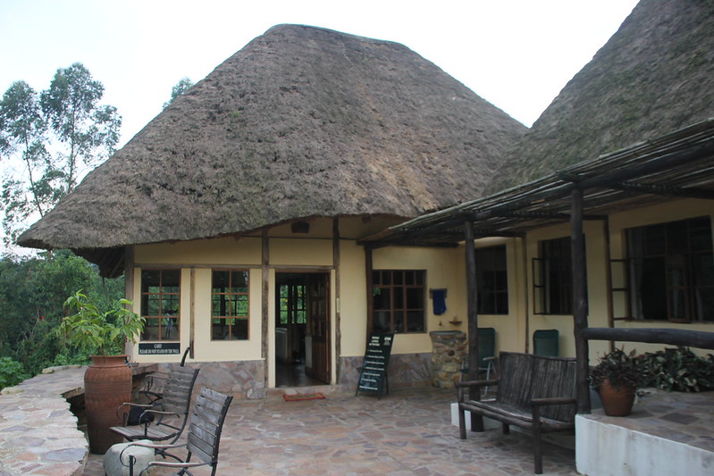 Accommodation at Bwindi