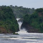 Best Boat Cruise Experiences in Uganda