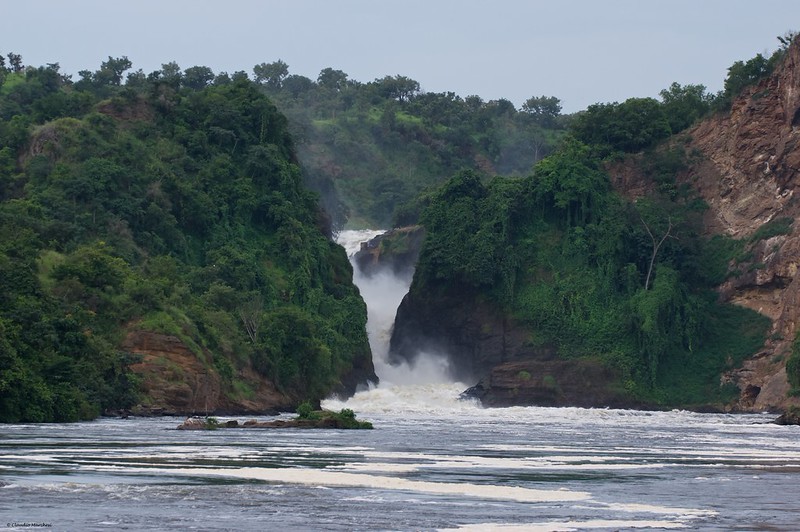 Best Boat Cruise Experiences in Uganda