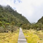 Nature Walks Uganda