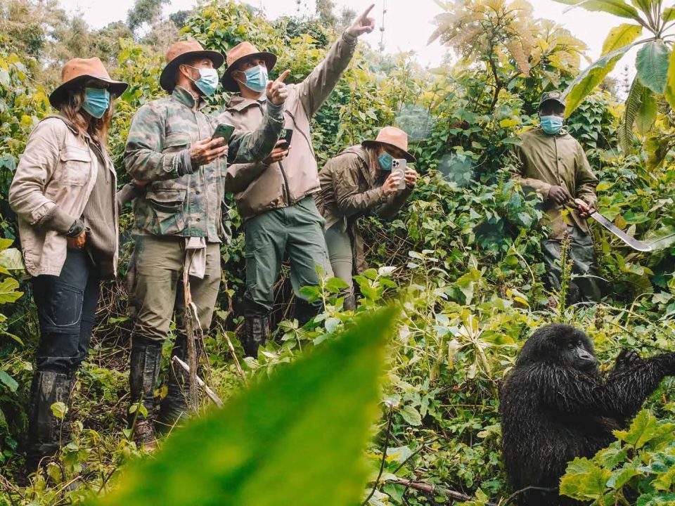 Uganda safe for tourists