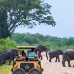 Self Drive Safari Uganda