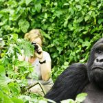 East African Tourist Visa