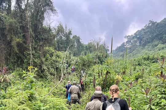 Hiking Mount Bisoke