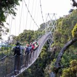 3 Days Nyungwe Experience