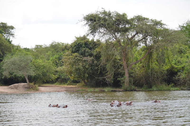 Nearest National Parks to Entebbe International Airport