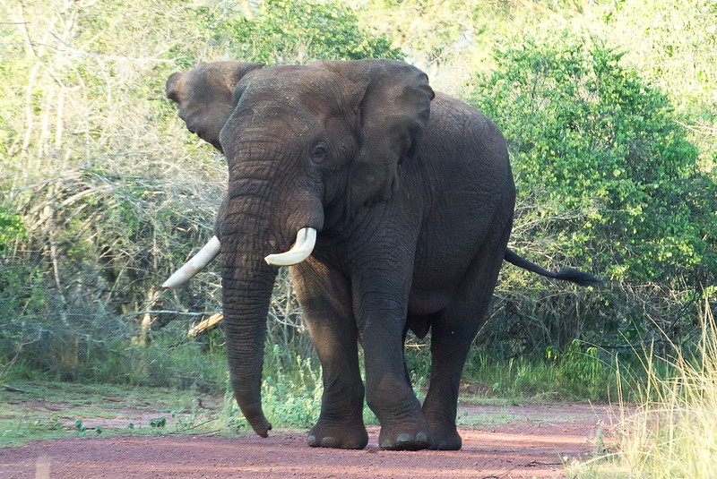 Is Rwanda safe to visit?