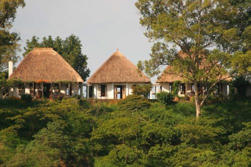 Activities Kibale National Park