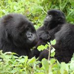 best photography spots Uganda