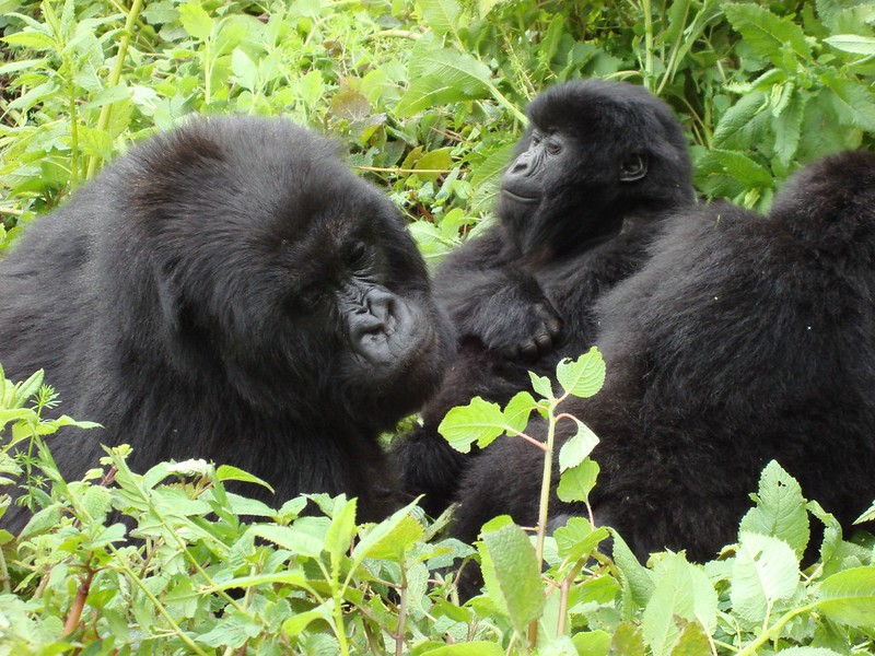 best photography spots Uganda