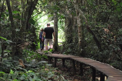 Activities Kibale National Park