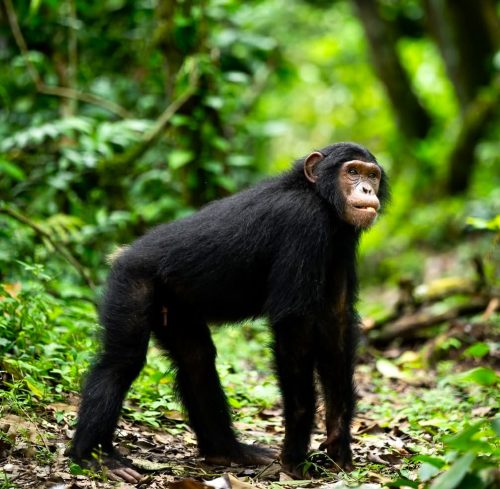 best places in Uganda