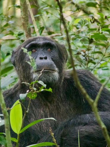 Rwanda honeymoon itinerary