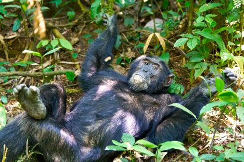 Queen Elizabeth National Park