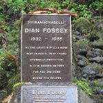 Dian Fossey gorilla conservation
