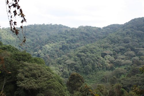 Kigezi tourism attractions