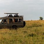 right safari vehicle