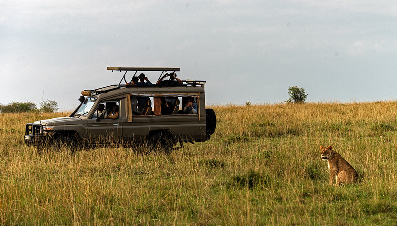 right safari vehicle