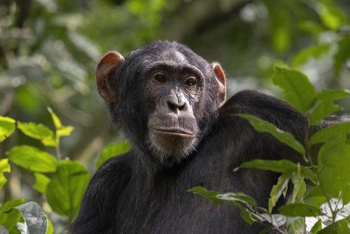 tourist attractions in Western Uganda