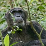 Essential Rwanda Travel Tips