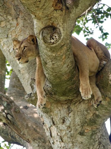 nearest national parks to Entebbe