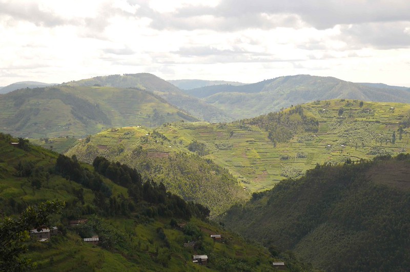 Rwanda Travel Guide
