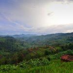 Country of a Thousand Hills