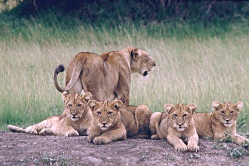 Rwanda attractions