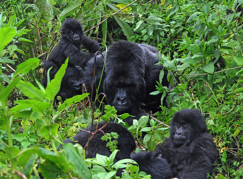 Rwanda attractions