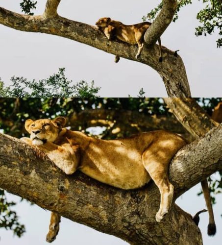 tourist attractions in Western Uganda