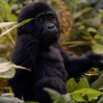 tourist attractions in Western Uganda