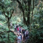 benefits of group tours