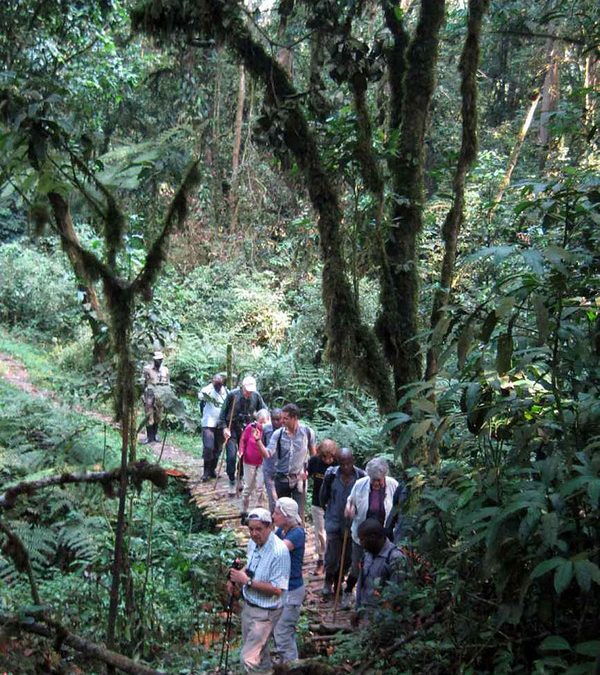 benefits of group tours