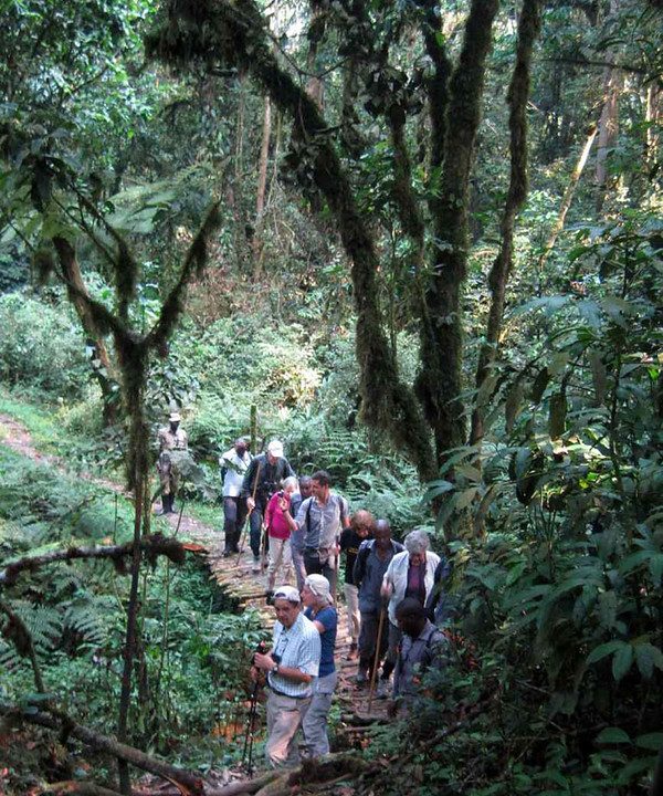 benefits of group tours