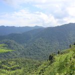 Entebbe to Bwindi distance
